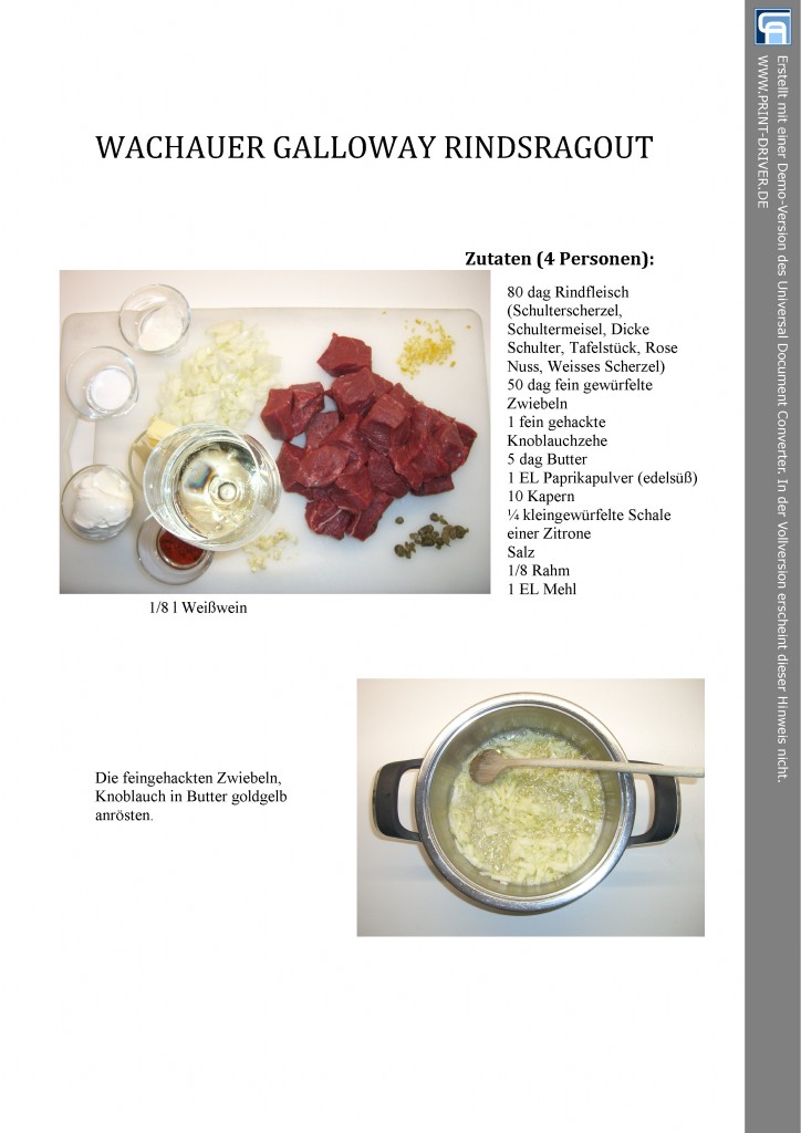 WACHAUER GALLAWAY RINDSRAGOUT